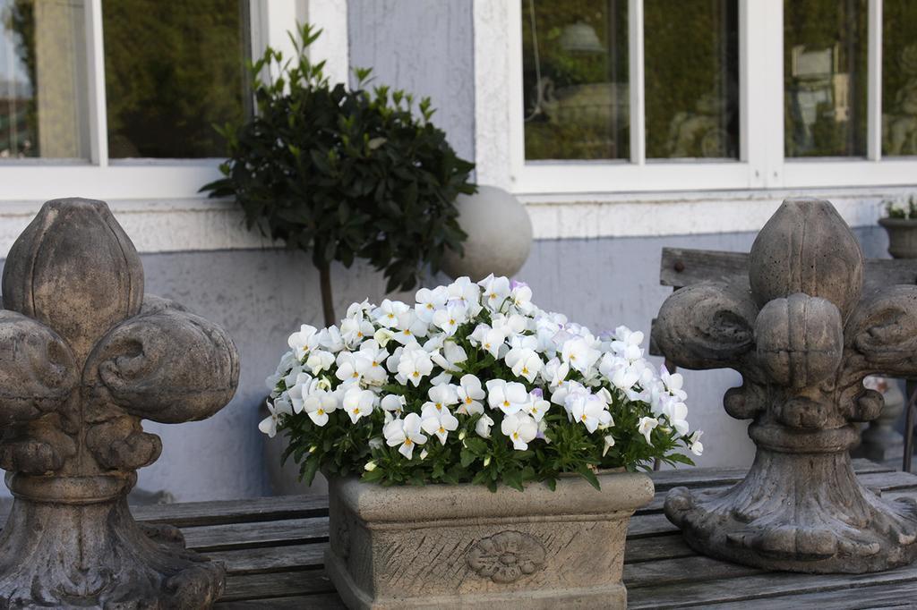 Hotel Zur Sonne Rimsting Exterior photo